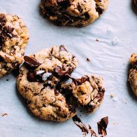 Chocolate Chip
